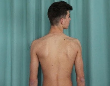 Article : Gabriel ou l&rsquo;émancipation des stéréotypes de genres