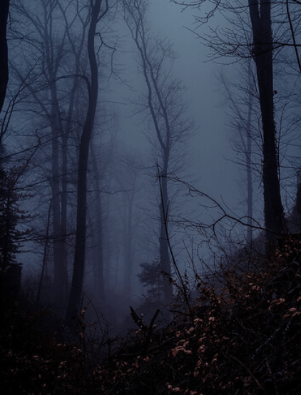 Article : L&rsquo;assaut du passé